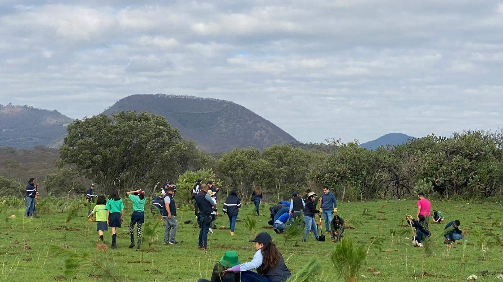 Reforestación - San Bernabé